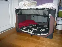 P1030264.webp
