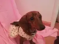 261902_116931261733821_2328664_n.webp