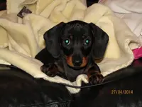 IMG_0369.webp IMG_0369.webp