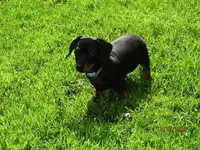 IMG_0389.webp IMG_0389.webp