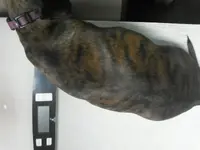 NCM_4333.webp