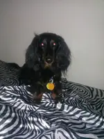 uploadfromtaptalk1405451138793.webp uploadfromtaptalk1405451138793.webp