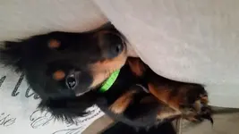 1405726415651.webp