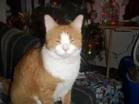 100_1194.webp