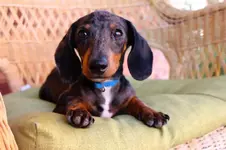 FB_IMG_1426015426130.webp