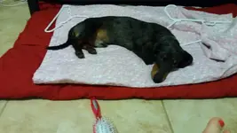 20150304_161835.webp