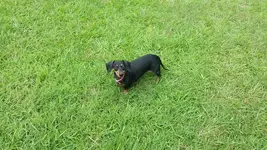 20150625_101559.webp