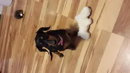 20150625_080719.webp