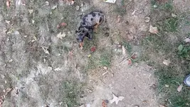 20150927_154846.webp