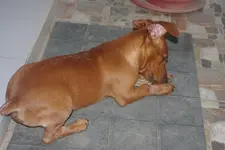 Photo 3.webp