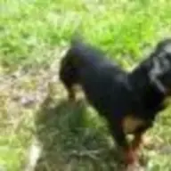 Rudy