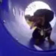 Chulo