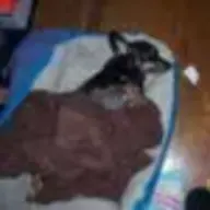 LuckyandMom