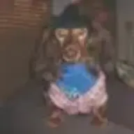 WillysMama