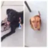 Betsy_Weeny