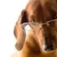 ilovemyweiner