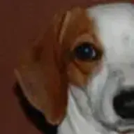 Doxmom