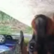 DoxieMomma