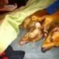 Lexi & Bailey