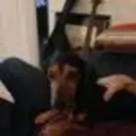 ATBoz