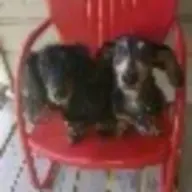 oscarjaxx