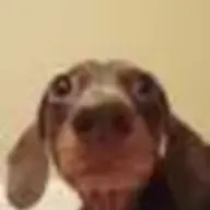 walterthewiener