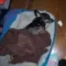 LuckyandMom