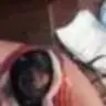doxiemoxie