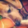love'laska