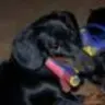 Cruzer's Mom