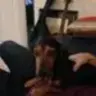 ATBoz