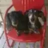 oscarjaxx