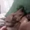 Benjismom18