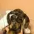 luvmydoxie