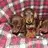 Tama_dappledoxie