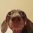 walterthewiener