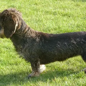059
