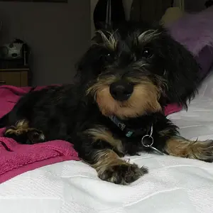 Cute