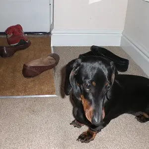 Geoff_and_bettie_052