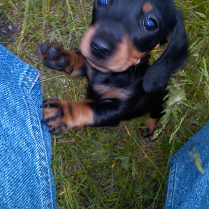 IMG00128-20110528-1753