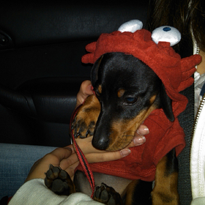 IMG00169-20110624-2044