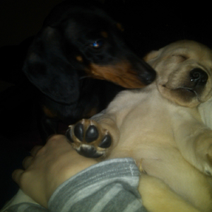 IMG00542-20120216-1953
