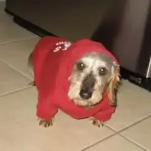 Xena-hoodie