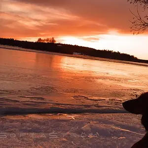 Karlsvik