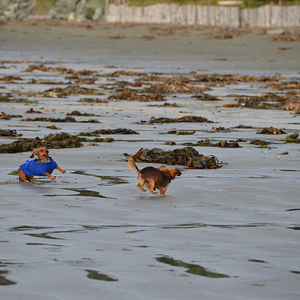 Chesterman Beach Vancouver Island