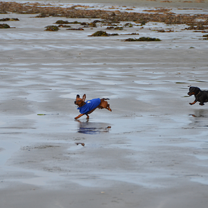 Chesterman Beach Vancouver Island