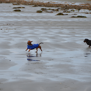 Chesterman Beach Vancouver Island