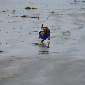 Chesterman Beach Vancouver Island