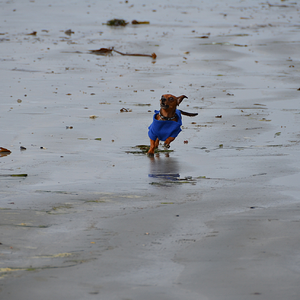 Chesterman Beach Vancouver Island