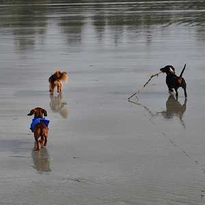 Chesterman Beach Vancouver Island